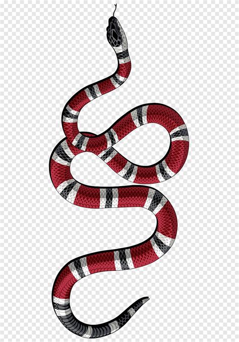 magliette ragazzo gucci snake|snake in gucci.